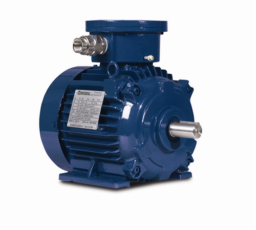 Explosion-Proof Motor (LV)