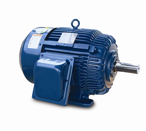 NEMA Standard Motor (LV)