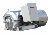 AC Electric Motors - High Voltage