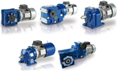 Industrial Geared Motors