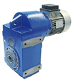 Shaft Mounted Geared Motor