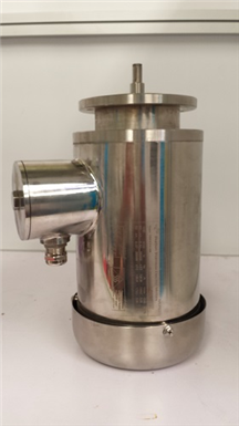 SS Electric Motor
