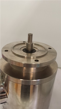 SS Electric Motor