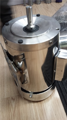 SS Electric Motor