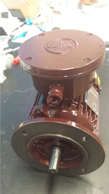 Custom ElectricMotor