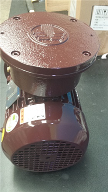 Custom ElectricMotor
