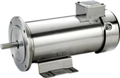 Stainless Steel Electric Motors