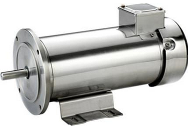 Stainless Steel Motor