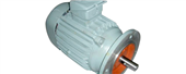Synchronous Motor/Line Start Permanent magnet