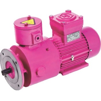 Flameproof Brake Motor