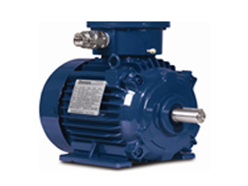 Electric Motors