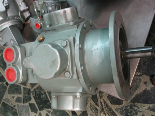 Air Motor IEC Flange