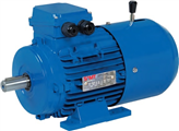 3Phase Electric Brake Motors