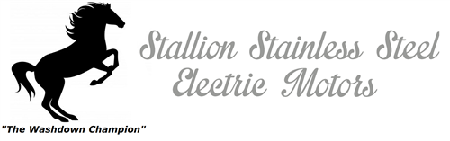 Stallion SS Electric Motors