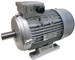 AC Electric Motors - Low Voltage