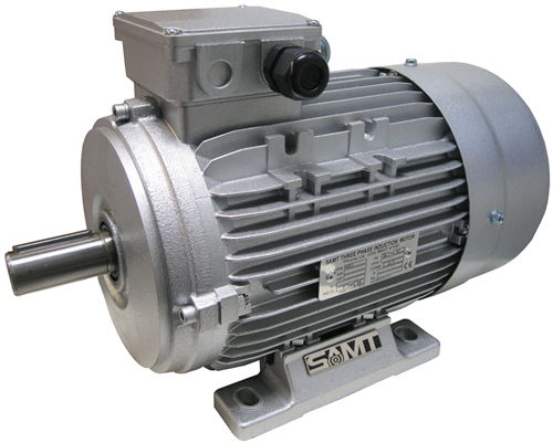 IEC Standard Motor