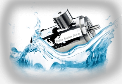 Newly launched Stallion SS Electric Motors